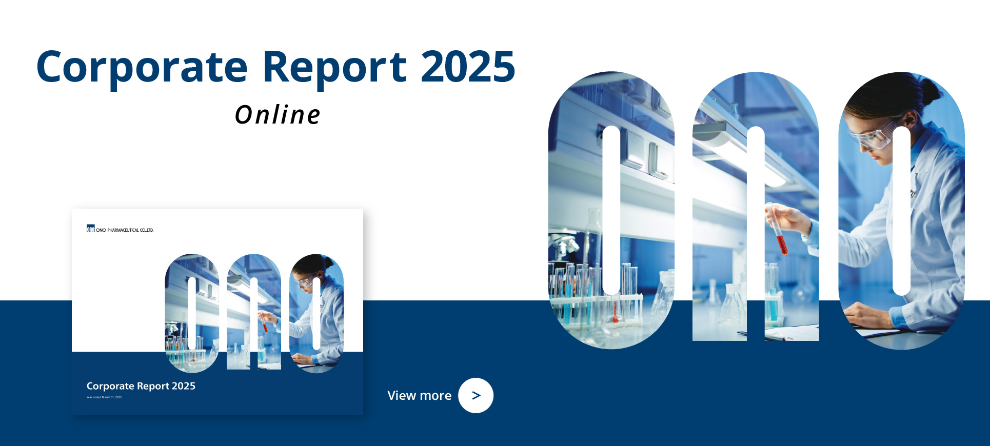 Go to Corporate Report page