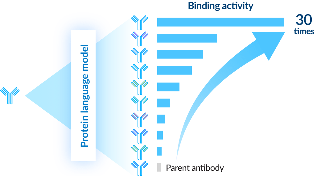 Many of the 32 types of antibodies tested had equivalent <br>performance to the parent antibody