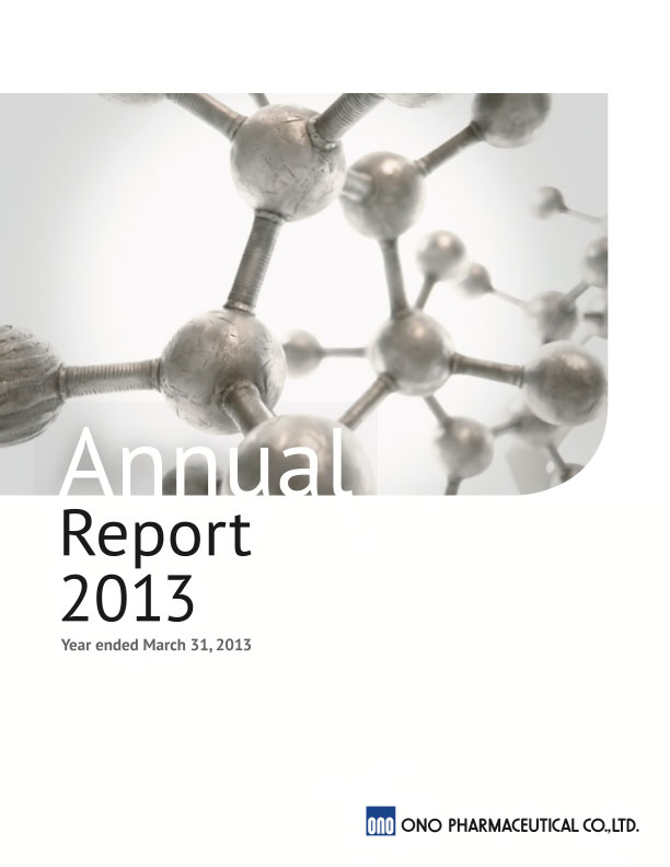 FY2013